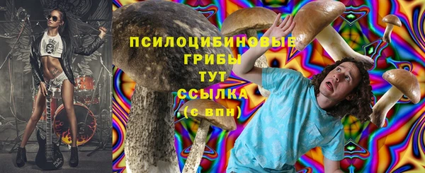 2c-b Белокуриха