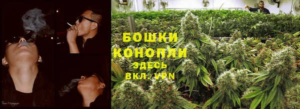 2c-b Белокуриха